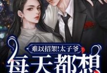 小说完整版《难以招架!太子爷每天都想强取豪夺》免费阅读-书格格