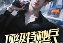 陈平安夏初一小说叫什么（顶级特种兵退役后，在官场呼风唤雨完整版免费阅读）-书格格
