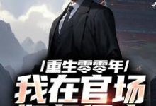 重生零零年：我在官场如鱼得水小说最新章节在哪里可以读到？-书格格
