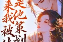 鱼归晚云澈小说《勾心：原来我被休是他策划的》在线阅读-书格格