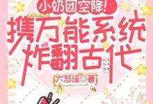 小说《小奶团空降！携万能系统炸翻古代》章节免费阅读-书格格