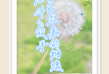 小说完整版《自己求来的姻缘，凭什么放手》免费阅读-书格格