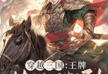 穿越三国：王牌特种兵驾到！赵兴小说完结版章节在线阅读-书格格