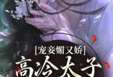 寻找宠妾媚又娇,高冷太子为她失了魂小说的最新更新章节-书格格