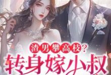 渣男攀高枝？转身嫁小叔被宠哭小说完结版章节免费阅读-书格格