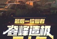 最后一位仙者,登峰造极五十年小说最新章节在哪里可以读到?-书格格
