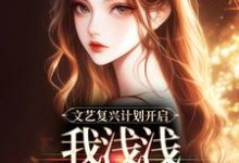 安桑完整版《文艺复兴计划开启，我浅浅秀个直播》小说免费阅读-书格格