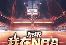 系统:我在NBA把把都超神小说的无弹窗阅读体验,寻找免费阅读网站-书格格