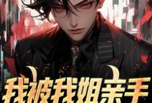 《我被我姐亲手送进夜总会》小说大结局免费试读 王大力小说-书格格