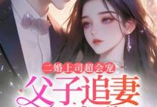 二婚上司超会宠,父子追妻哭成狗这本小说在哪里可以看?哪里有免费试读章节?-书格格
