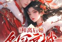 姜苒小说和离后她名冠京城，夫家悔哭了章节免费阅读-书格格