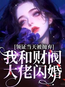 领证当天被抛弃，我和财阀大佬闪婚小说最新章节在哪里可以读到？
