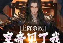 《上阵杀敌，皇帝见了我都得低头》完整版小说免费阅读-书格格