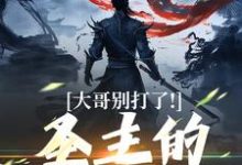 《大哥别打了！圣主的心都碎了》小说章节列表免费试读，陈寻小说在线阅读-书格格