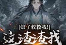 完结版《娘子救救我！这渣渣我虐不完》章节阅读-书格格