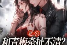 完结版《老公和青梅牵扯不清？我放你自由！》章节目录在线阅读-书格格