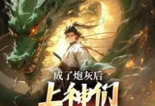 曹昊完整版《成了炮灰后，上神们靠虐我为乐》小说免费阅读-书格格