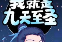 身怀灵石,我就是九天至圣这本小说怎么样?免费在线阅读试试-书格格