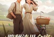 何婉晴顾承安小说踹翻渣男全家！受气包重生嫁军官在线阅读章节-书格格