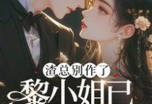 寻找能够免费阅读渣总别作了，黎小姐已另嫁豪门小说的平台-书格格