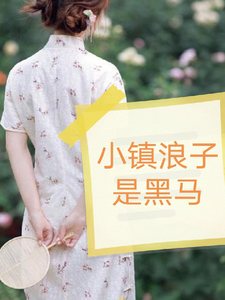 完整版《小镇浪子是黑马》小说免费阅读