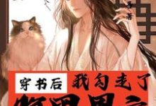 穿书后我勾走了腹黑男主章节免费在线阅读，舒晚完结版-书格格