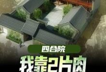 王建安秦淮茹完整版《四合院:我靠2片肉俘获秦淮茹芳心》小说免费阅读-书格格