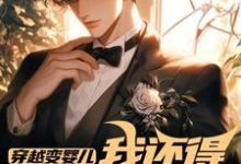李云峰孙丽娟小说叫什么（穿越变婴儿，我还得内卷玩疯癫完整版免费阅读）-书格格