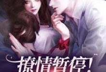 《撩情暂停！咱们先炫饭》江心白杨劲生小说免费阅读完整版-书格格