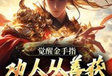 小说《觉醒金手指：劝人从善获决定武力值》完整版章节免费阅读-书格格