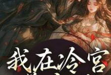 我在冷宫养皇子小说阅读，我在冷宫养皇子完结版-书格格