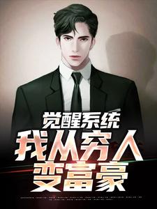 小说《觉醒系统：我从穷人变富豪》完整版章节免费阅读