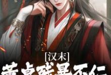在线寻找汉末：董卓残暴不仁？我起义警告小说的无删减版本-书格格