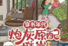 穿书年代，炮灰原配携崽随军去啦安婳肖政，穿书年代，炮灰原配携崽随军去啦完整版最新章节-书格格
