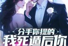 分手你提的，我死遁后你哭什么？小说的免费电子版在哪里可以下载或阅读？-书格格