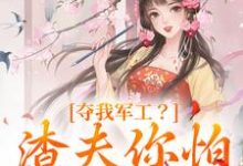 凌朝歌南宫阎小说免费阅读完整版-书格格