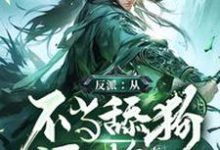 苏辰林云梦小说免费阅读完整版-书格格