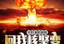 寒假兼职被抓，问我核聚变能造吗？完整版小说，寒假兼职被抓，问我核聚变能造吗？免费阅读-书格格