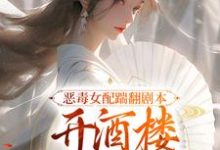 恶毒女配踹翻剧本，开酒楼当富婆了许迎春陆沉小说免费阅读-书格格