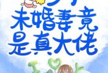 乡下未婚妻竟是真大佬小说的所有章节都能在哪里免费读到？-书格格