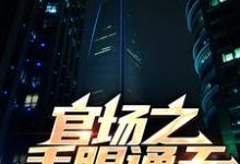 官场之手眼通天小说的免费电子版在哪里可以下载或阅读?-书格格