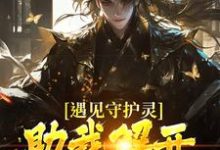 完整版小说《遇见守护灵，助我解开父亲的秘密》免费阅读-书格格