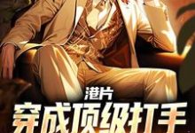 港片：穿成顶级打手，爆兵称霸港岛小说的无弹窗阅读体验，寻找免费阅读网站-书格格
