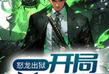 免费看怒龙出狱：开局奉旨成婚小说的网站有哪些？-书格格
