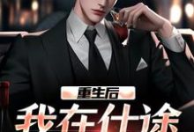 重生后，我在仕途一路狂飙小说最新更新在哪里？免费在线看-书格格