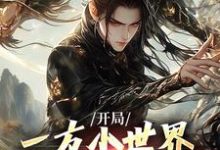 小说完整版《开局一方小世界，我靠系统逆袭》免费阅读-书格格