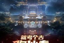 在线寻找就考个古，你仙秦举国飞升？小说的无删减版本-书格格