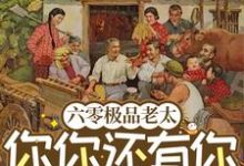 求六零极品老太:你你还有你跪下!小说的全文免费阅读链接-书格格