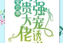 简以宁陆怀瑾小说《宝贝乖：高贵大佬在强宠诱哄》完整版免费阅读-书格格