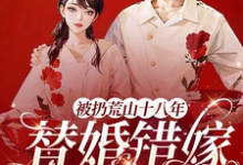许辛苑黎响小说被扔荒山十八年，替婚错嫁大首长完整版阅读-书格格